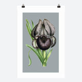 Iris Susiana Galant Art