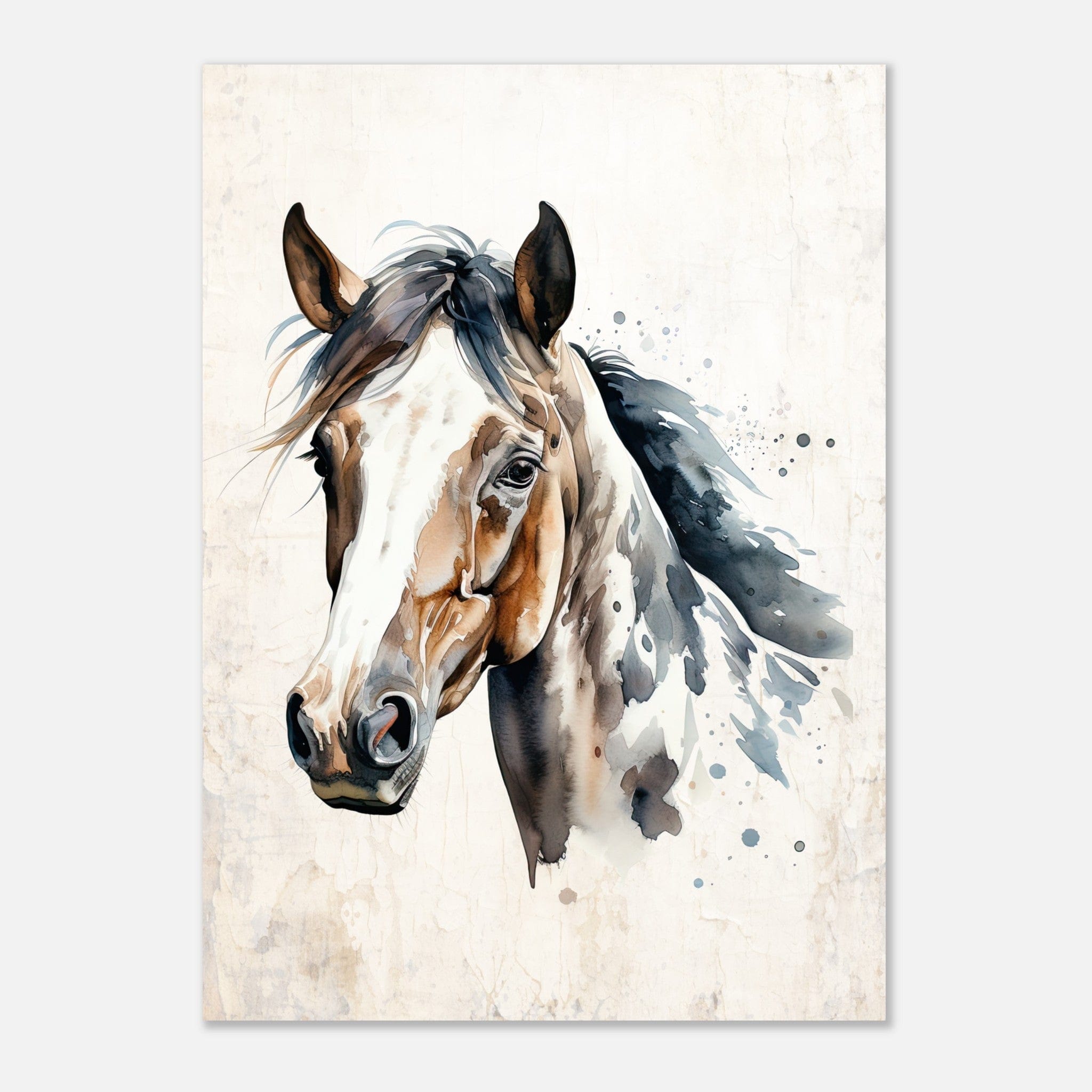 Knabstrupper Horse Galant Art -G