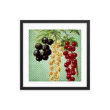 Multi Colored Cherries Framed Galant Art