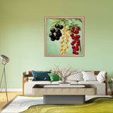 Multi Colored Cherries Poster Galant Art