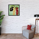 Multi Colored Cherries Poster Galant Art