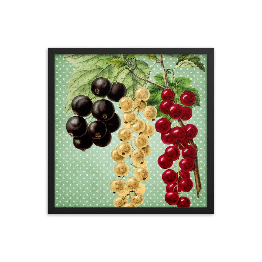 Multi Colored Cherries Poster Galant Art