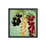 Multi Colored Cherries Poster Galant Art