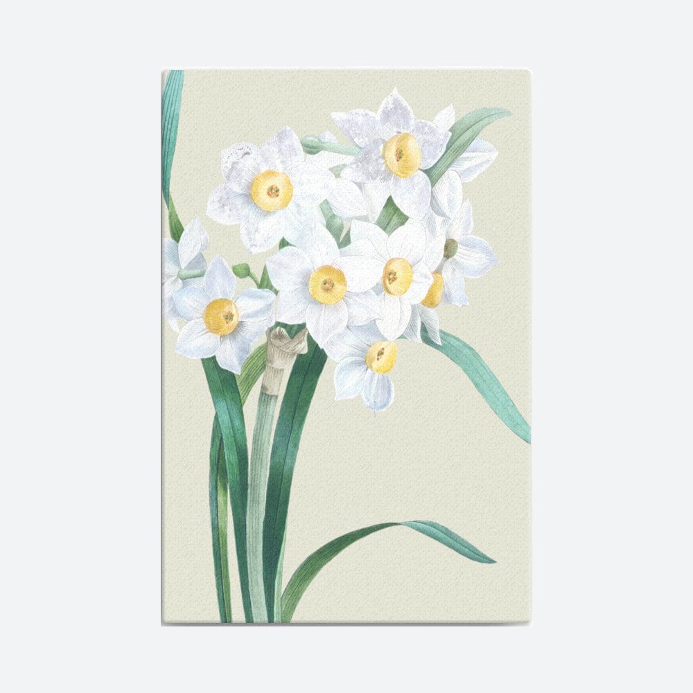 Narcissus-tazetta Canvas Galant Art