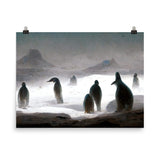 Penguins Habitat Galant Art