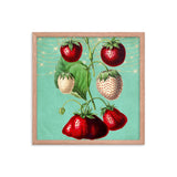 Pine And Straw Berries Poster Galant Art