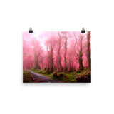 Pink Forest Mist Print Galant Art