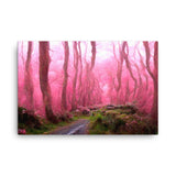 Pink Forest Path Canvas Galant Art