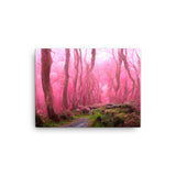 Pink Forest Path Canvas Galant Art