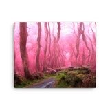 Pink Forest Path Canvas Galant Art