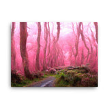 Pink Forest Path Canvas Galant Art