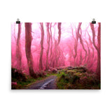 Pink Forest Path Print Galant Art