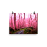 Pink Forest Path Print Galant Art