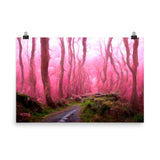 Pink Forest Path Print Galant Art