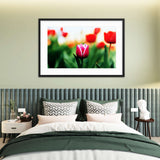 Pink Tulip Galant Art