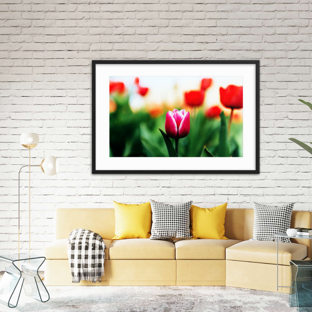 Pink Tulip Galant Art