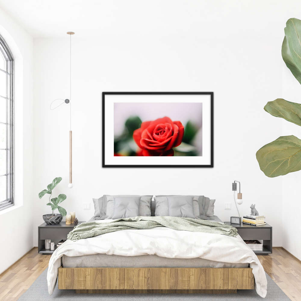 Rose Flower Galant Art