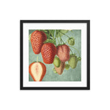 Strawberries Mixed Framed Galant Art