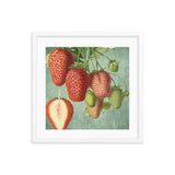 Strawberries Mixed Framed Galant Art