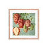 Strawberries Mixed Framed Galant Art