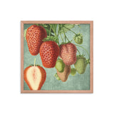 Strawberries Mixed Poster Galant Art