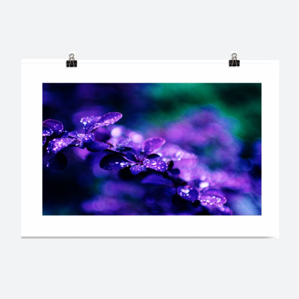 The Blue Begonia Print Galant Art