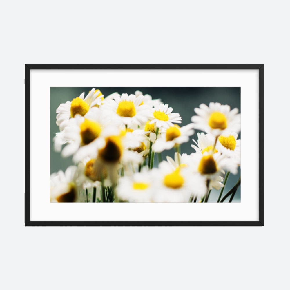 The Coneflower Bouquet Galant Art