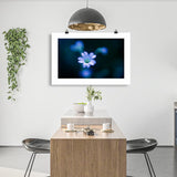 The White Anemone Print Galant Art