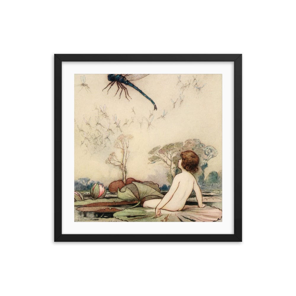 Warwick Dragonfly Framed Galant Art