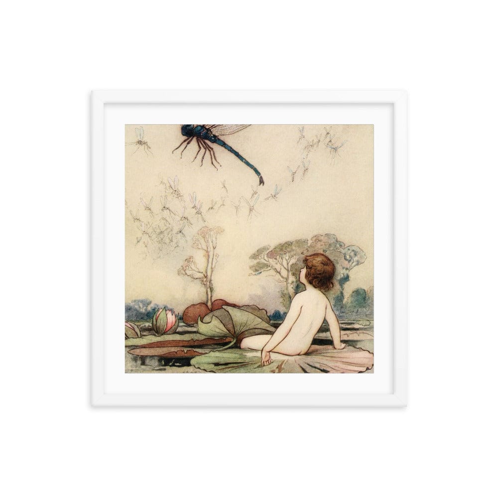 Warwick Dragonfly Framed Galant Art