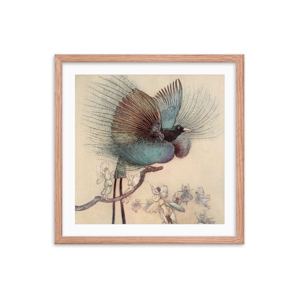 Warwick Fairy Bird Framed Galant Art