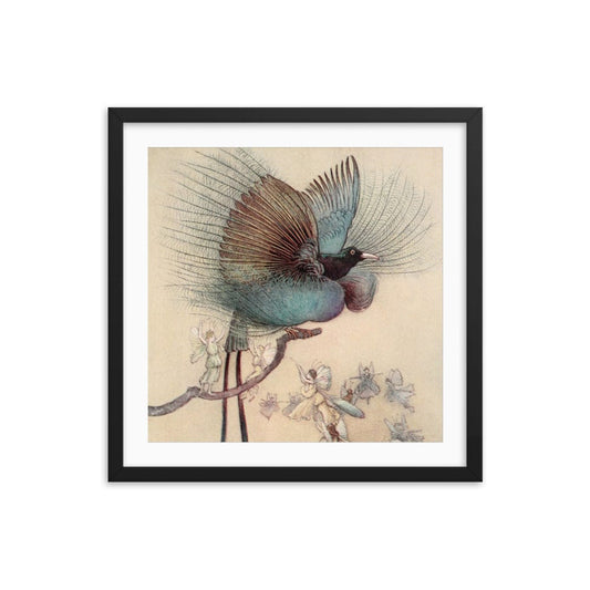 Warwick Fairy Bird Framed Galant Art