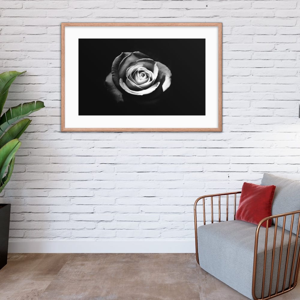 White Rose Galant Art